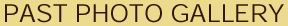 t10.jpg